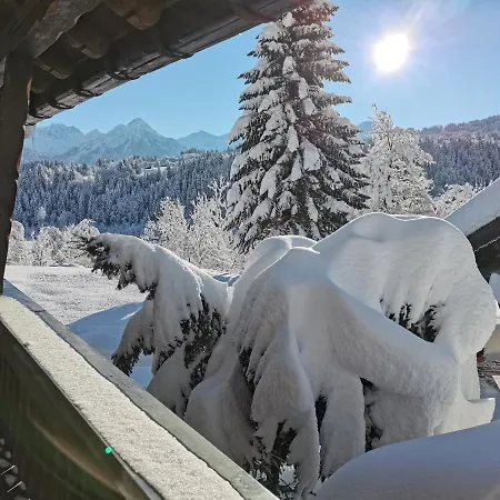 Apartment Ferienwohnung Rosshoefle Oberstdorfer Bergbahnen Im Sommer Inklusive